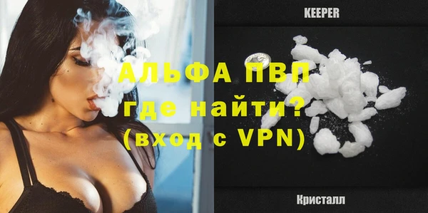 индика Горно-Алтайск