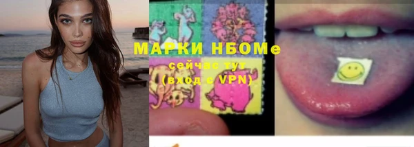 шишки Сосновка