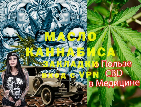 индика Горно-Алтайск