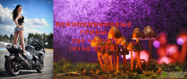 мдпв Горняк