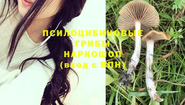 дживик Горнозаводск