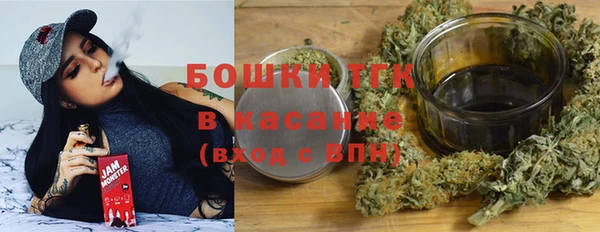 дживик Горнозаводск