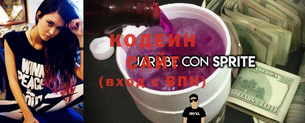ECSTASY Гусев