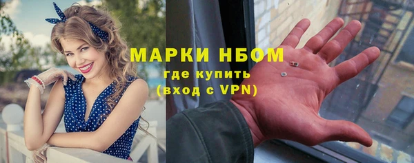 индика Горно-Алтайск