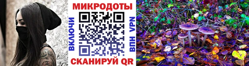 даркнет сайт  Донской  Галлюциногенные грибы Magic Shrooms 