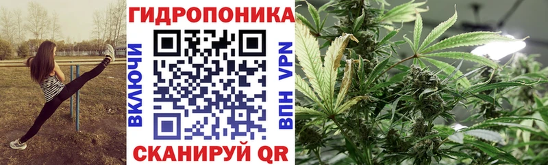 купить Донской Бошки марихуана SATIVA & INDICA